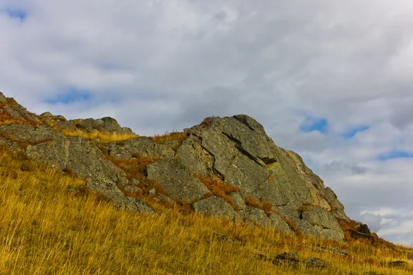 岩石与明亮植物在秋天 — 图库照片