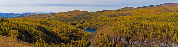 Autumn panorama in mountains — Stock Photo, Image