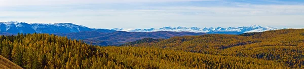 フォア グラウンドで秋の木と山のパノラマ — ストック写真