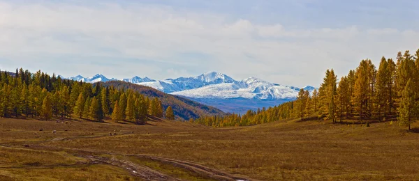 Mountain rural panorama — Stock Photo, Image