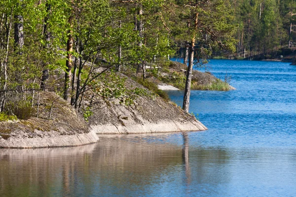 Skaliste Wybrzeże Jeziora Drewna Lecie — Zdjęcie stockowe