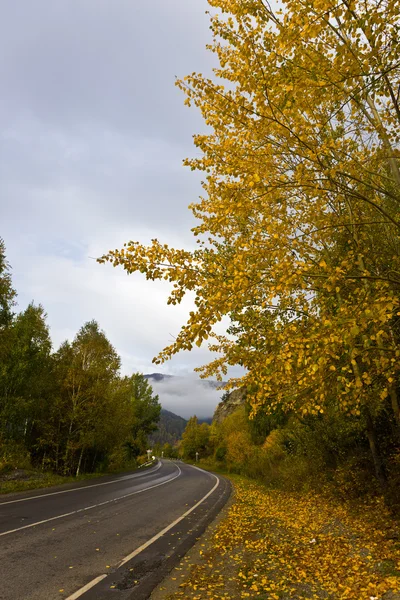 Podzimní horská silnice — Stock fotografie