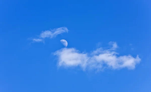 stock image Day moon