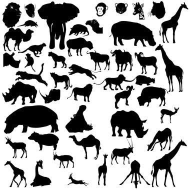 Set of tropical animals clipart