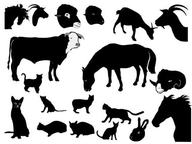 Set of domestic animals clipart