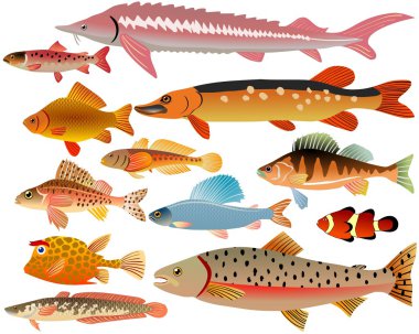 Set of fishes clipart