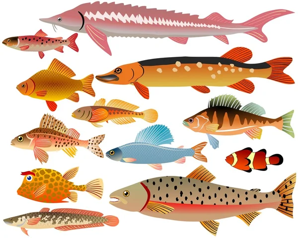 Reihe von Fischen — Stockvektor