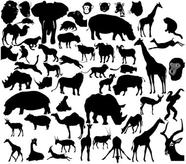 Set of tropical animals clipart