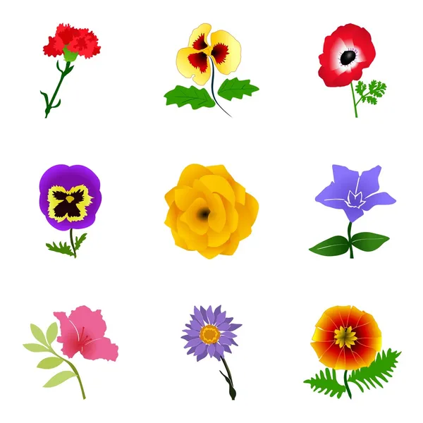 Conjunto de flores — Vector de stock