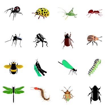 Set of insects clipart
