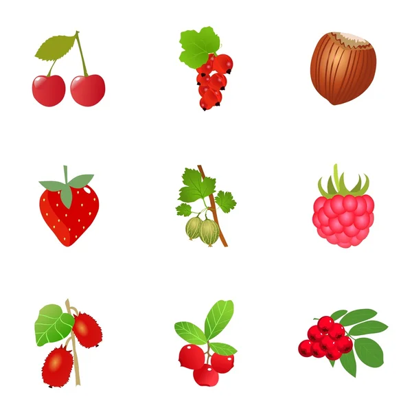 Набор свежих ягод — стоковый вектор