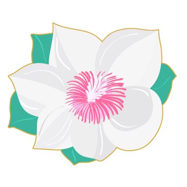 Magnolia. Vector clipart