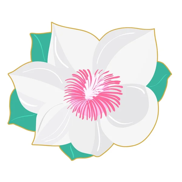 Magnolia. Vecteur — Image vectorielle
