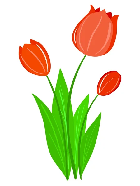 Ilustração da tulipa — Fotografia de Stock Grátis