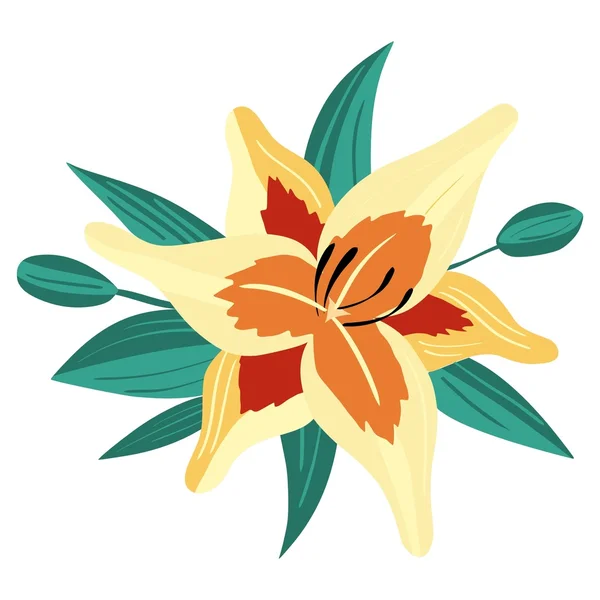 Lily flower — Stock vektor