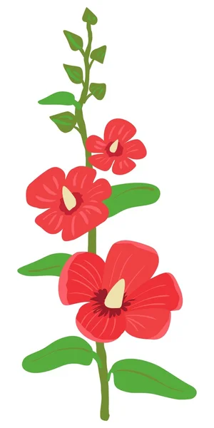 ピンク アオイ科の植物 — ストックベクタ