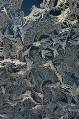 Hoarfrost on window clipart