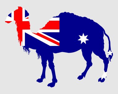 Avustralya bayrağı deve ile