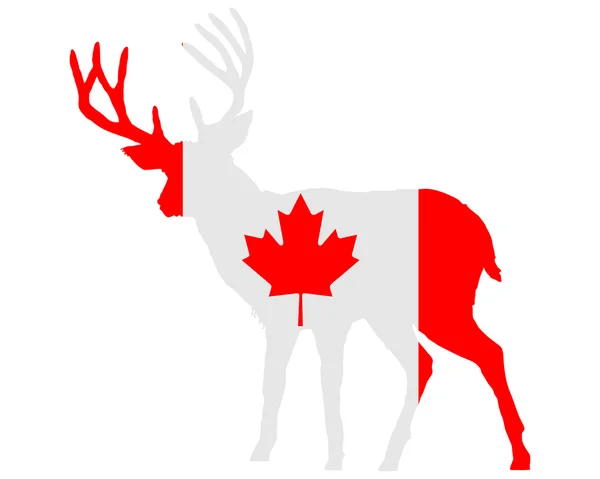 Kanadský jelen — Stock fotografie