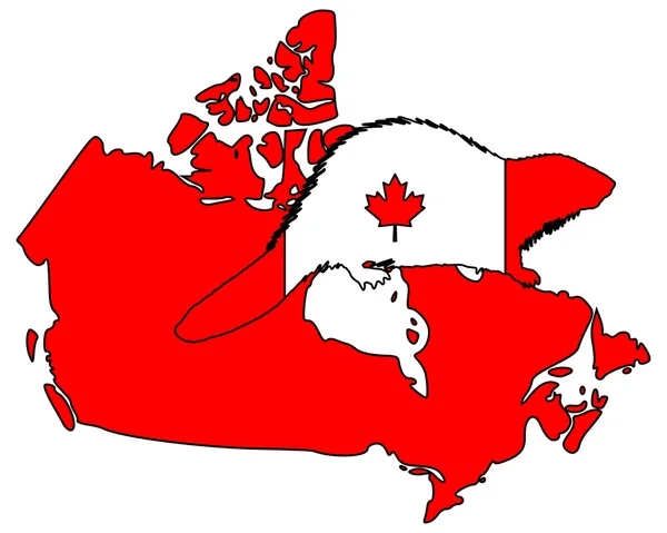 Bóbr kanadyjski — Zdjęcie stockowe
