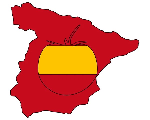 Spaanse tomaat — Stockfoto