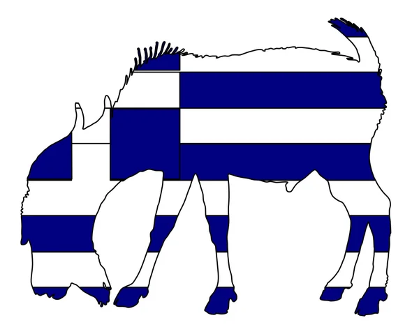 Грецька він Коза — стокове фото