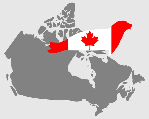 Καναδική σφραγίδα — Φωτογραφία Αρχείου