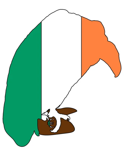 Irlandzki złamał Sęp — Zdjęcie stockowe