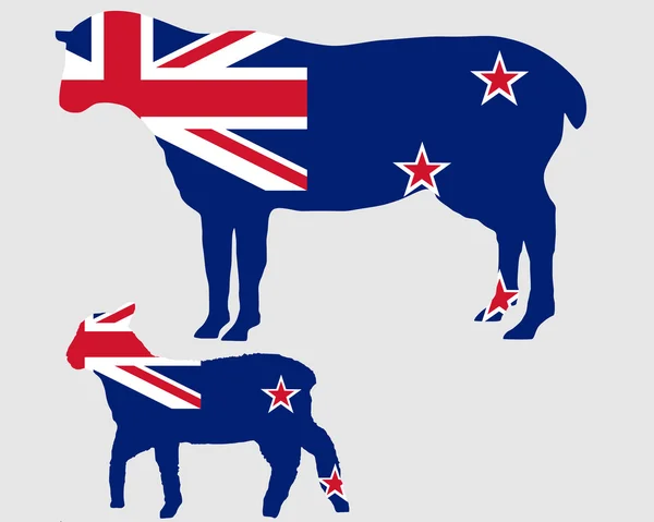 New Zealands sheeps — Stock Photo, Image