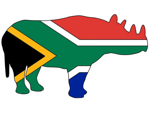 Rinoceronte sul-africano — Fotografia de Stock