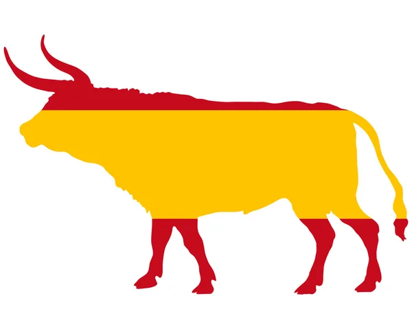 Španělský býk — Stock fotografie
