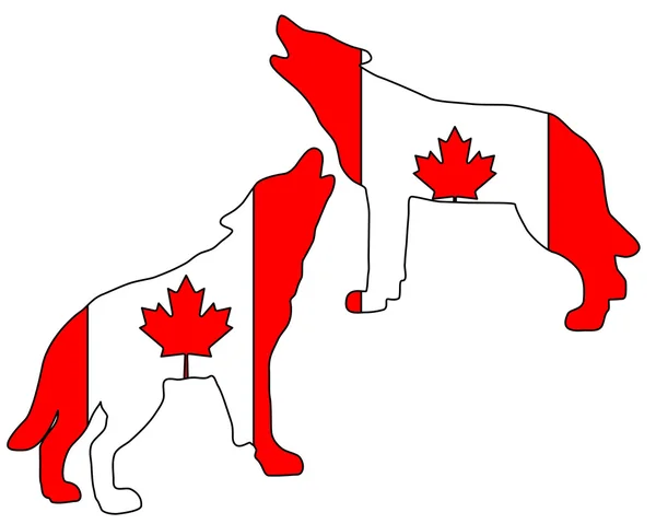 Lobos aulladores canadienses — Foto de Stock