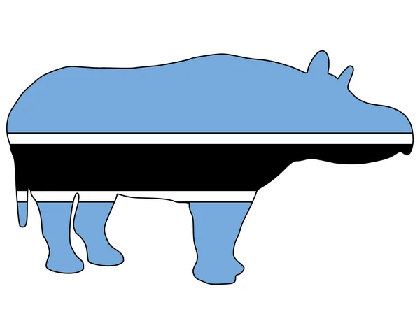 Botswana hippo — Stockfoto