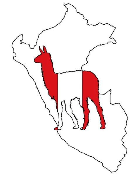 Lama Peru — Stock Photo, Image