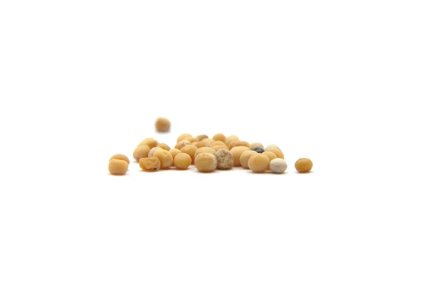 Grains Mustard Seed White — Stock Photo, Image