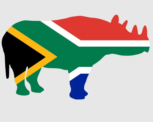 Sydafrikansk Rhino — Stockfoto