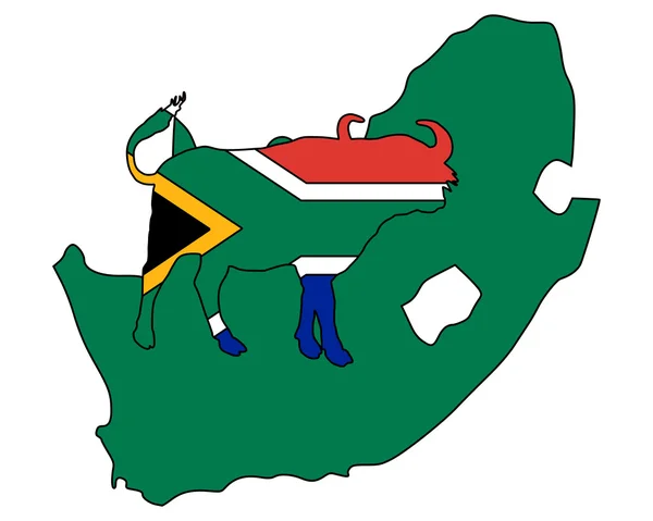 África Sul Búfalo — Fotografia de Stock