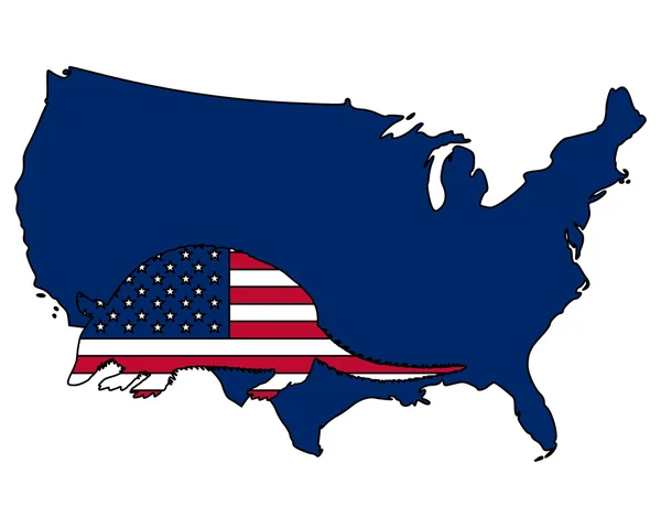 Bältdjur Förenta staterna av Amerika — Stockfoto