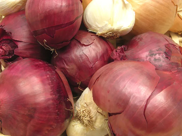 stock image Red Onions and white garlics in a close-up view