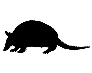 Armadillo Silhouette clipart