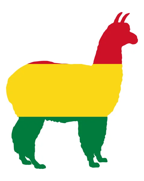 Alpaca Bolivia — Stock Photo, Image