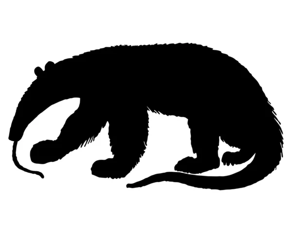 Anteater Siluett — Stockfoto