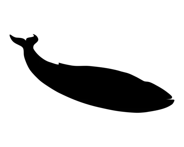 Силуэт синего кита — стоковое фото