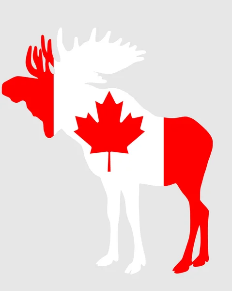 麋在加拿大的国旗 — 图库照片