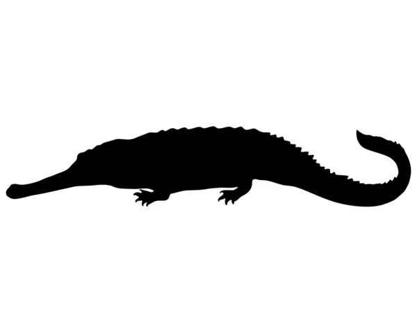 Gharial silhouette — Stock Photo, Image