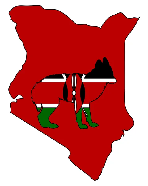 Szakal Kenii — Zdjęcie stockowe