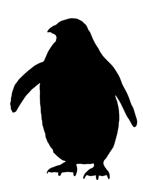 Pingvin siluett — Stockfoto
