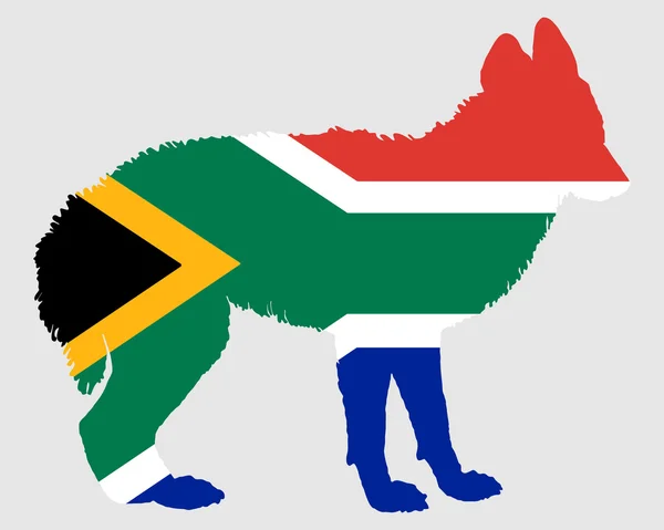 Šakal Jižní Afriky — Stock fotografie