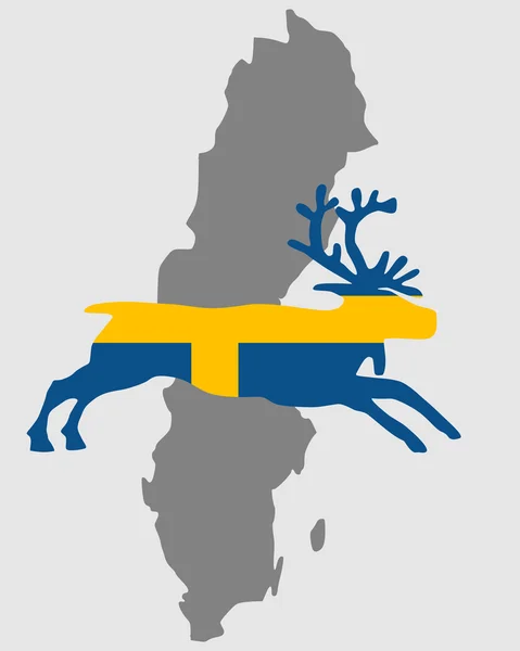 Schwedisches Rentier — Stockfoto
