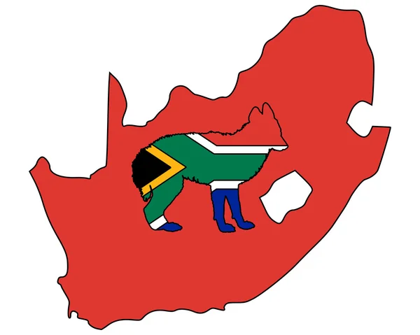 Sakál a Dél-afrikai Köztársaság — Stock Fotó